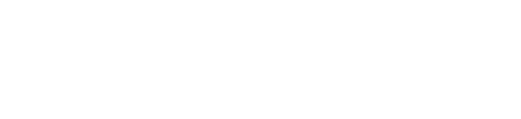Sinapsis Innovation